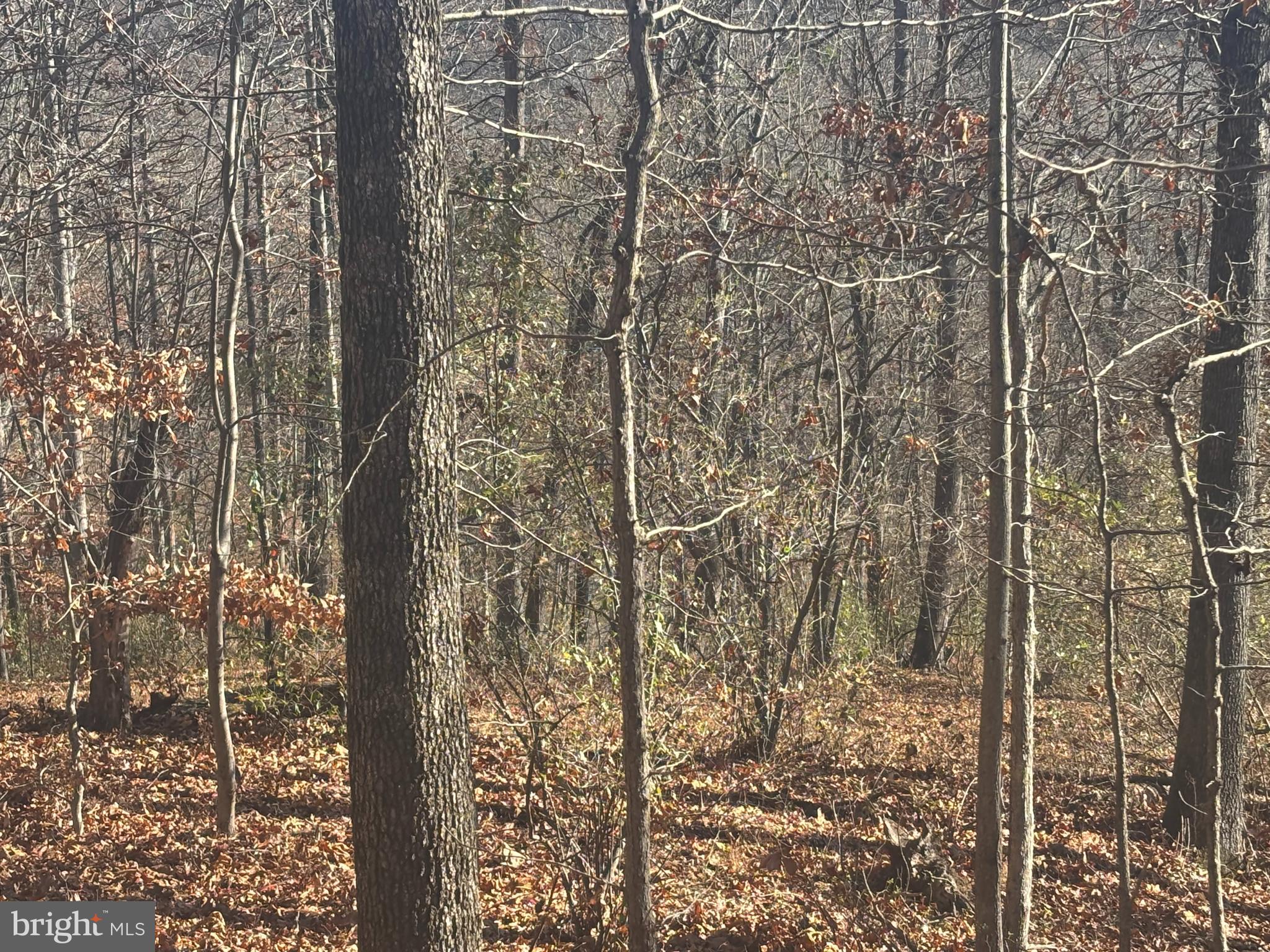 38196 LIME KILN ROAD