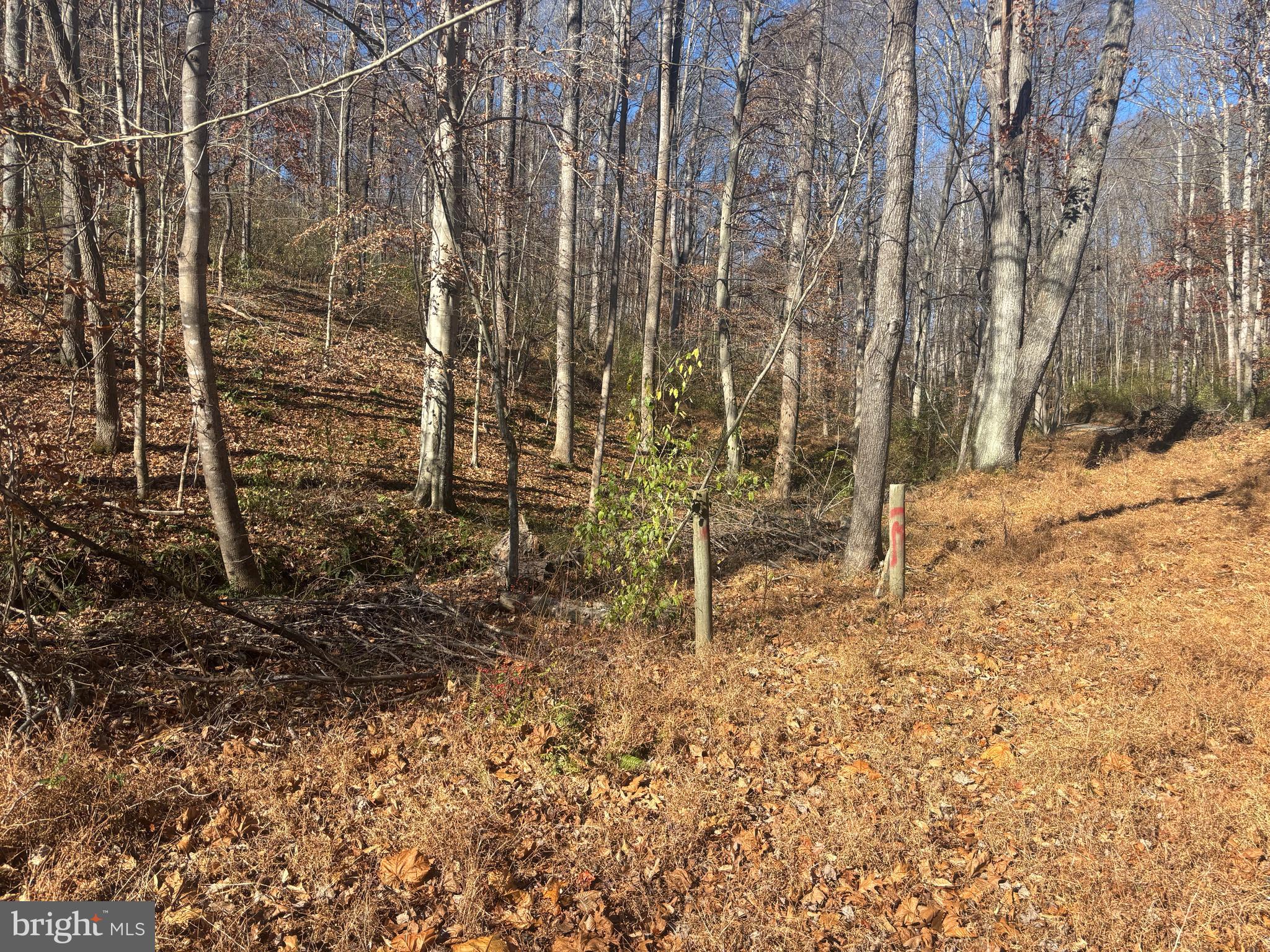 38196 LIME KILN ROAD