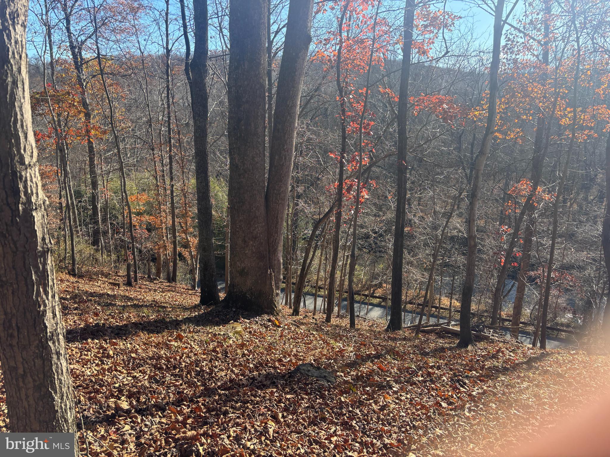 38196 LIME KILN ROAD