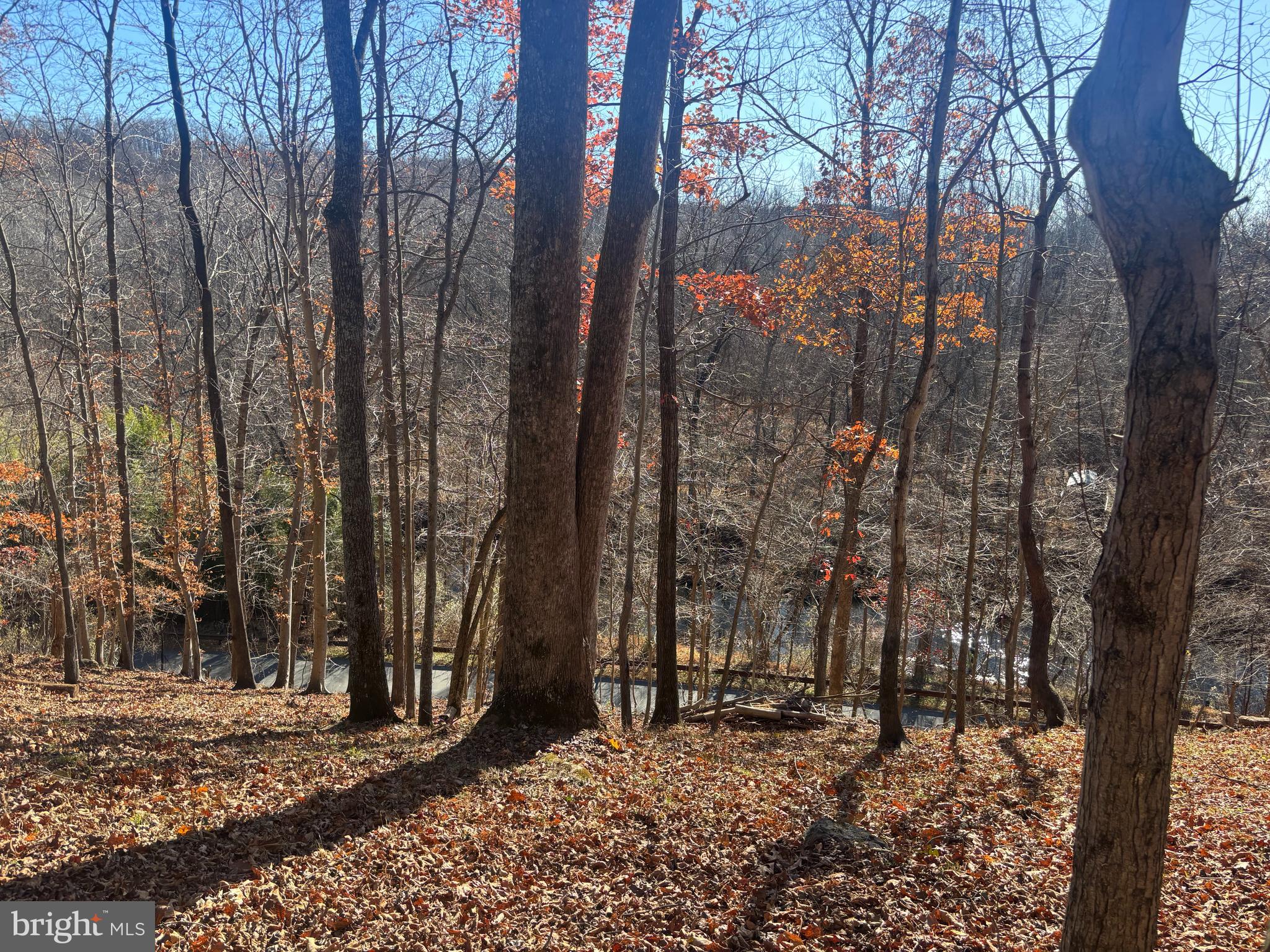 38196 LIME KILN ROAD