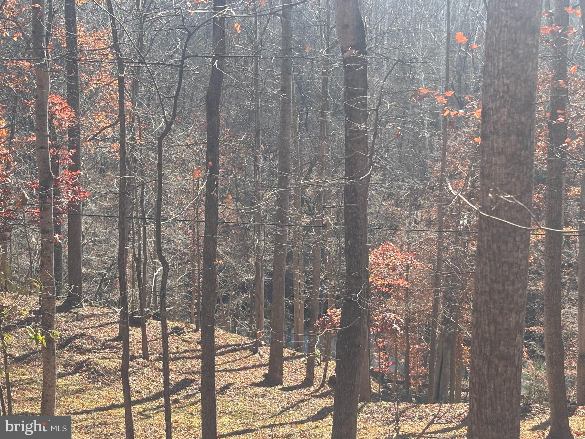 38196 LIME KILN ROAD