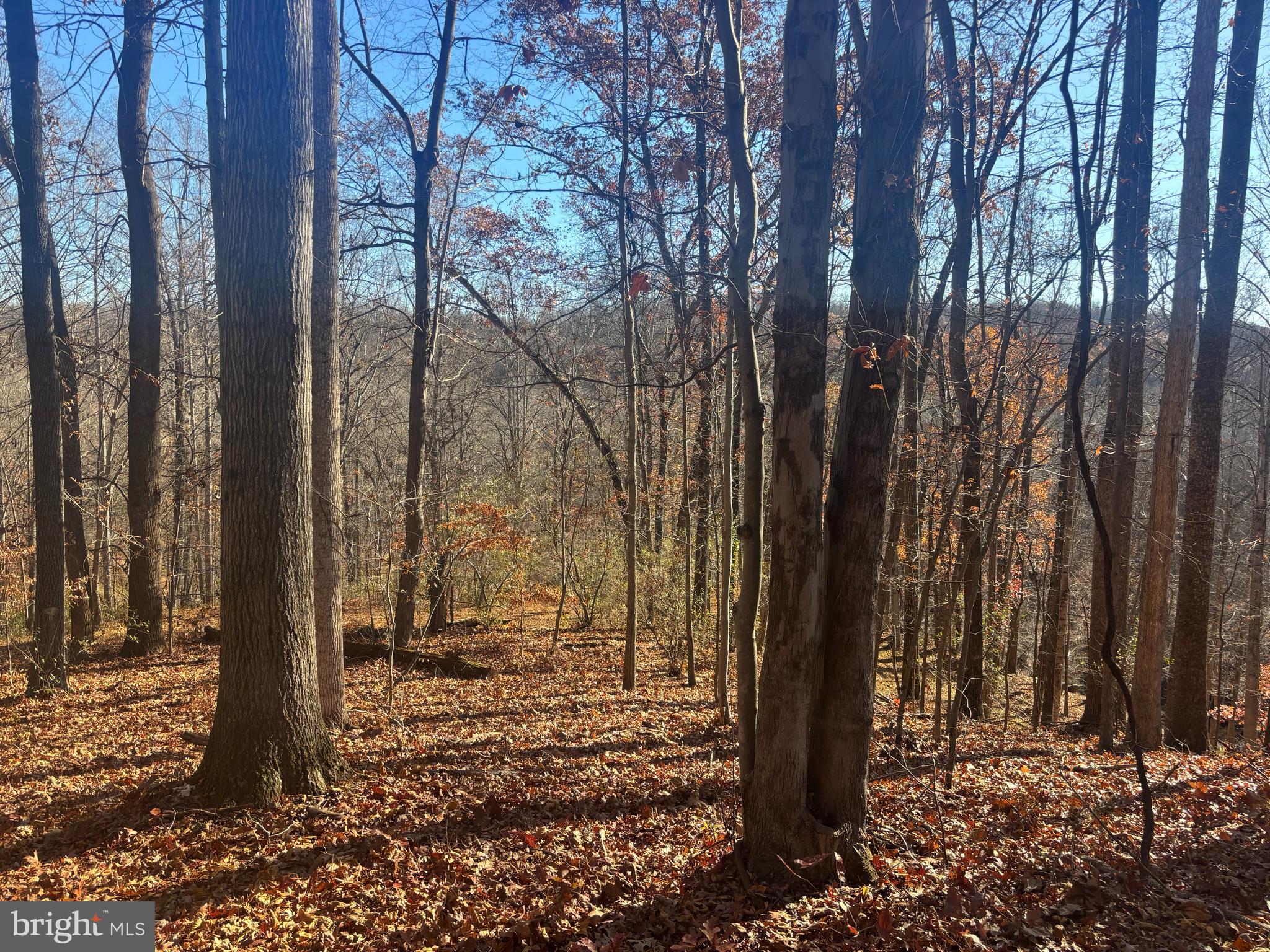 38196 LIME KILN ROAD