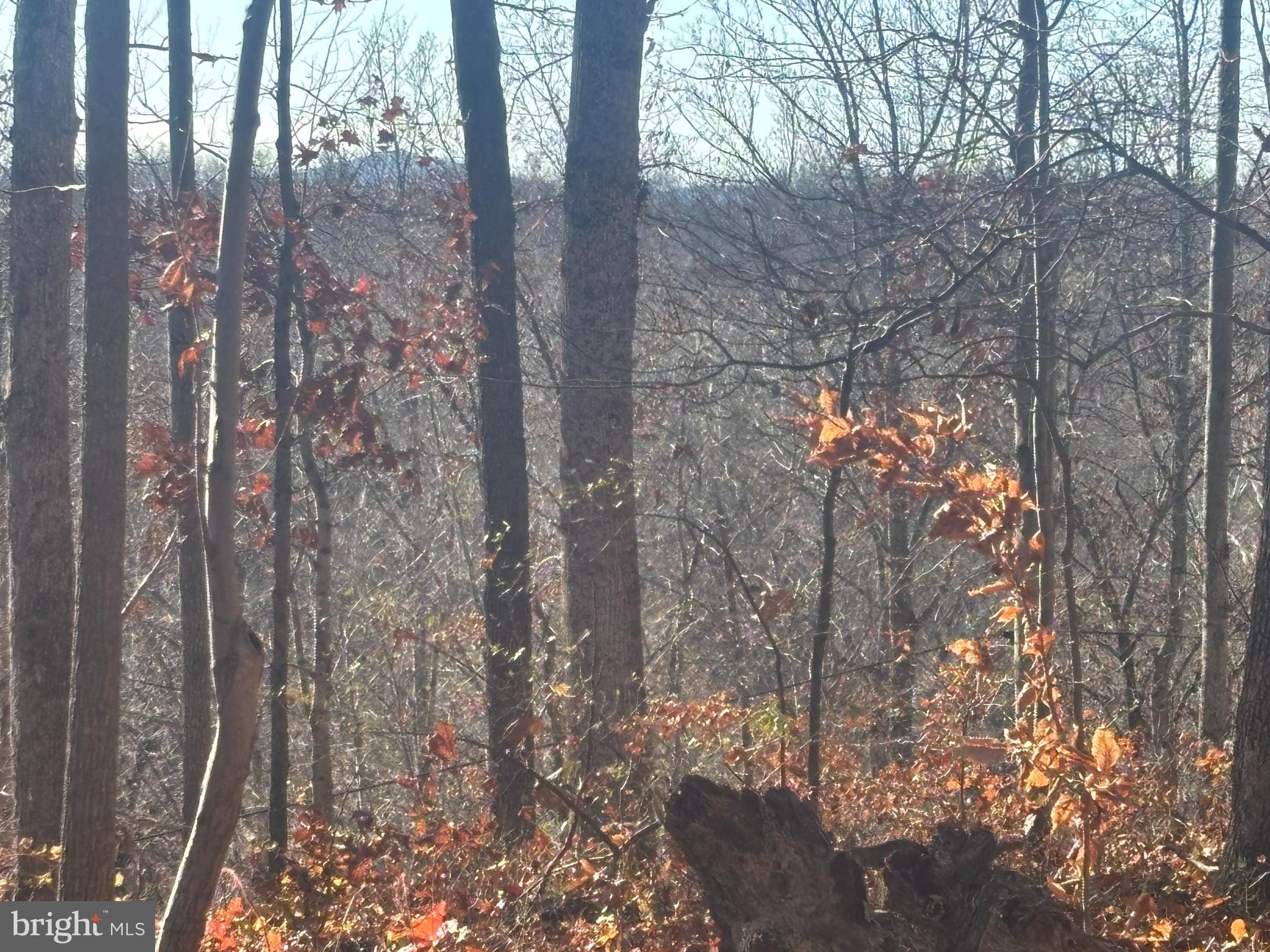 38196 LIME KILN ROAD