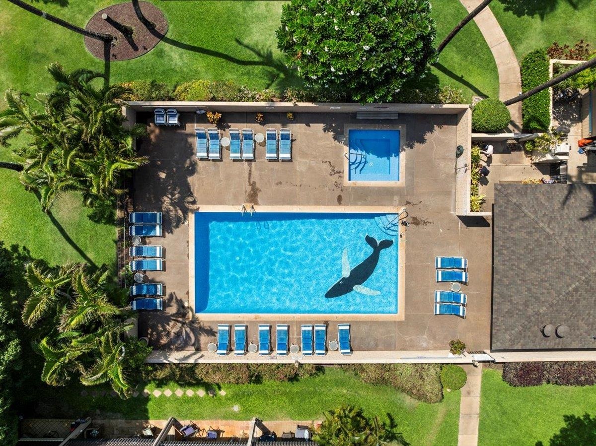 1299 ULUNIU Rd Unit: G-205