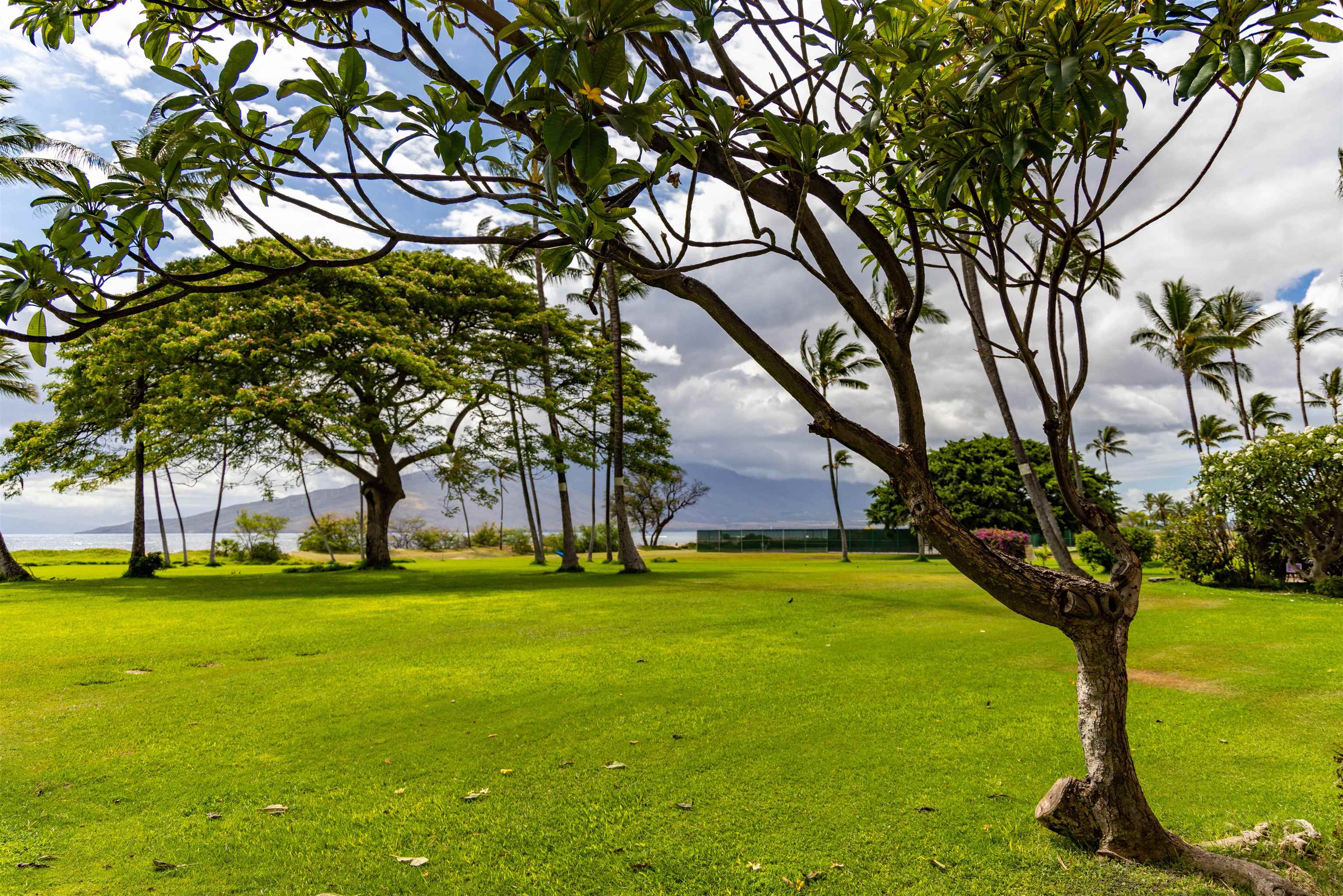 1002 S Kihei Rd Unit: 304