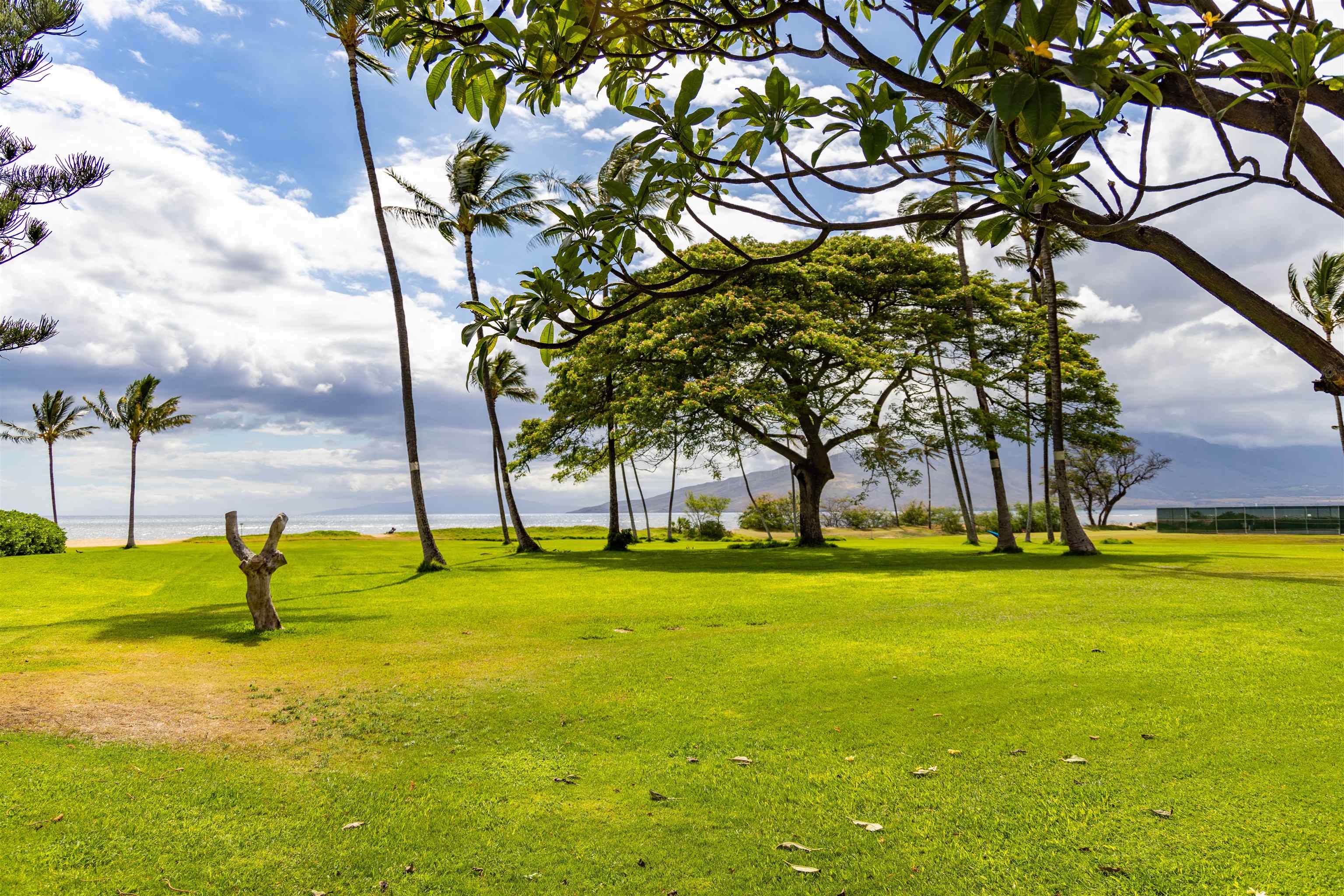 1002 S Kihei Rd Unit: 304