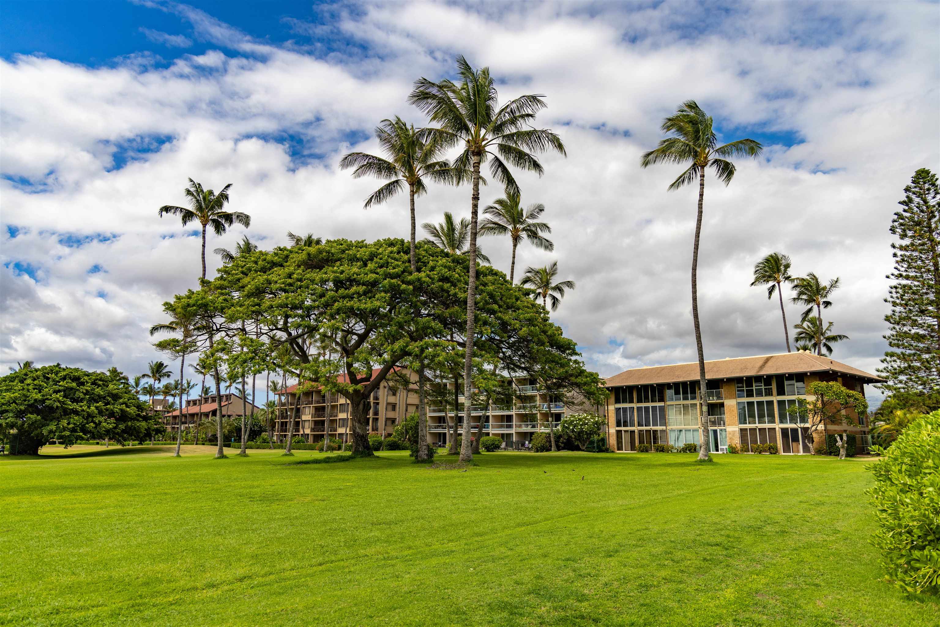 1002 S Kihei Rd Unit: 304