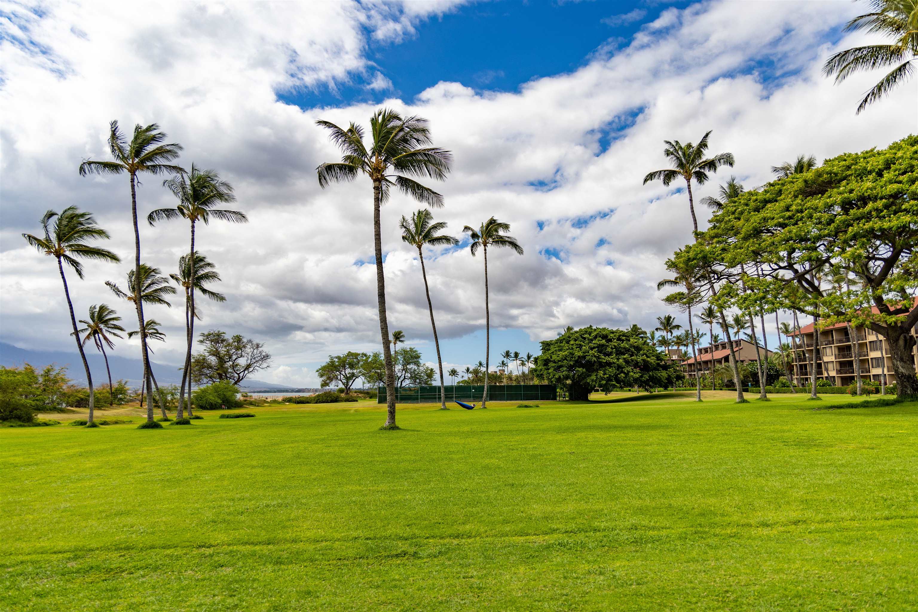 1002 S Kihei Rd Unit: 304