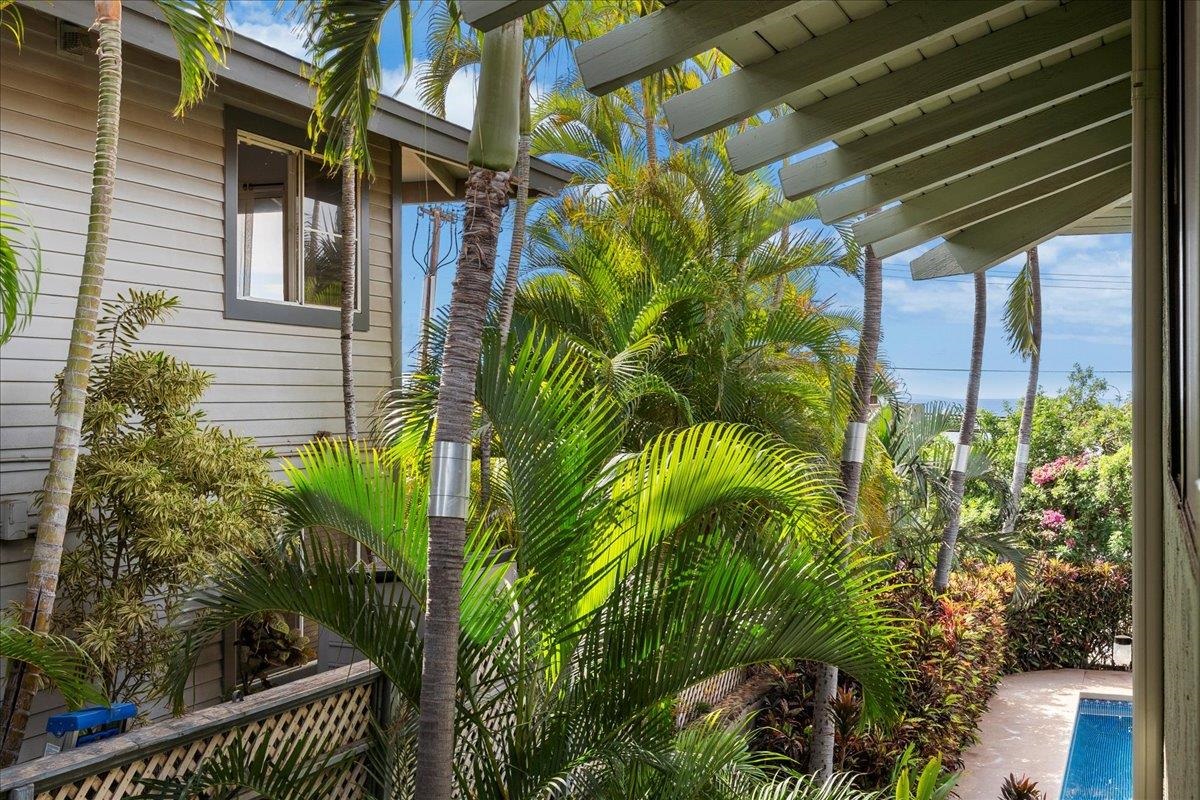 2050 KANOE St Unit: 203