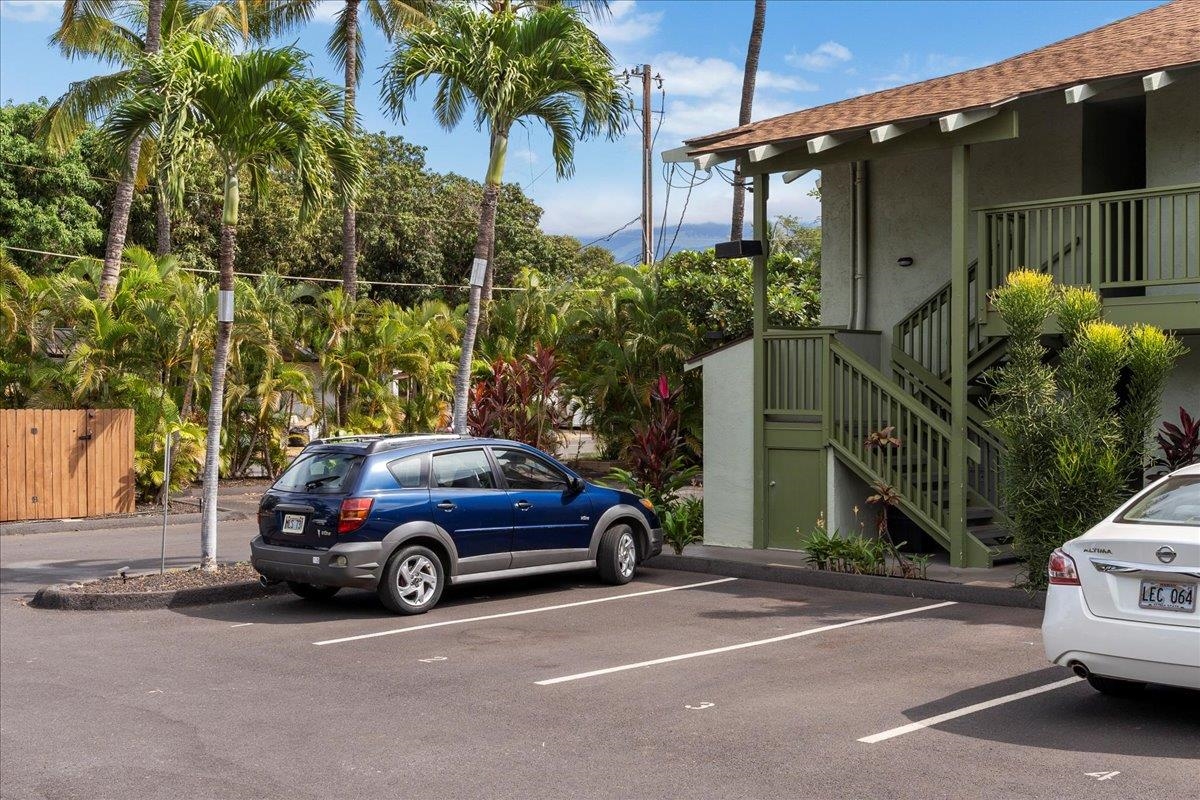 2050 KANOE St Unit: 203