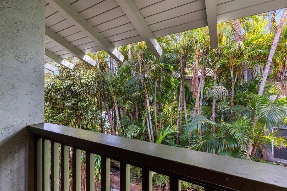 2050 KANOE St Unit: 203