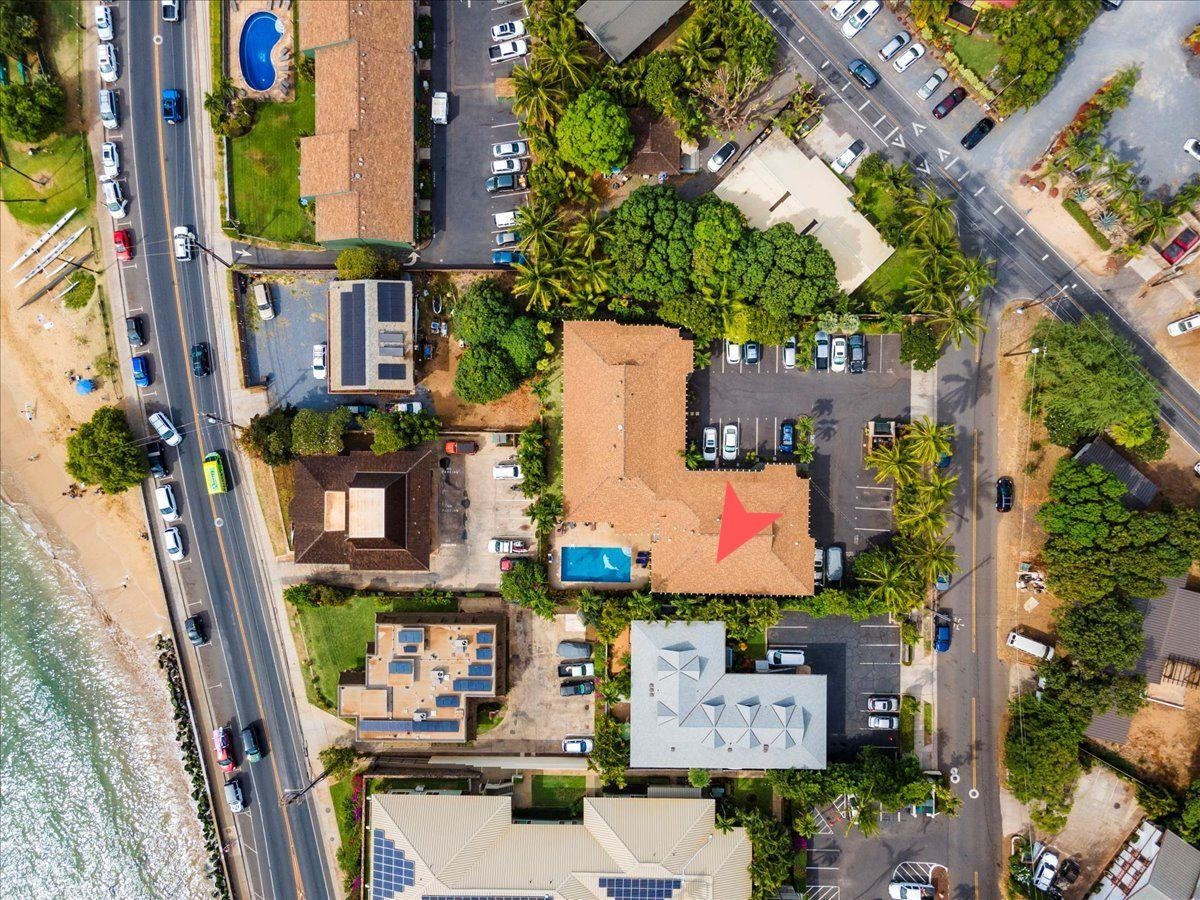 2050 KANOE St Unit: 203