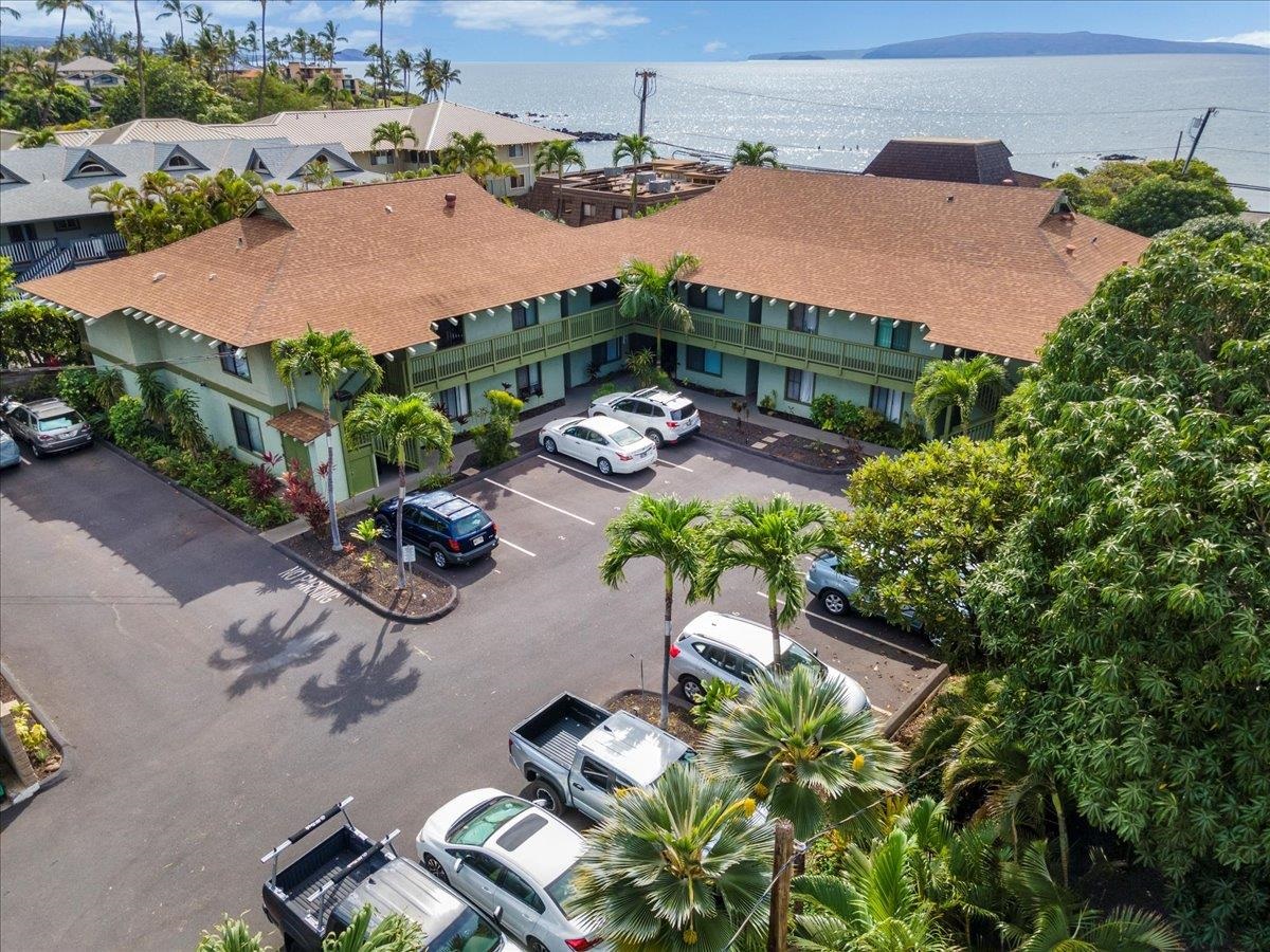 2050 KANOE St Unit: 203