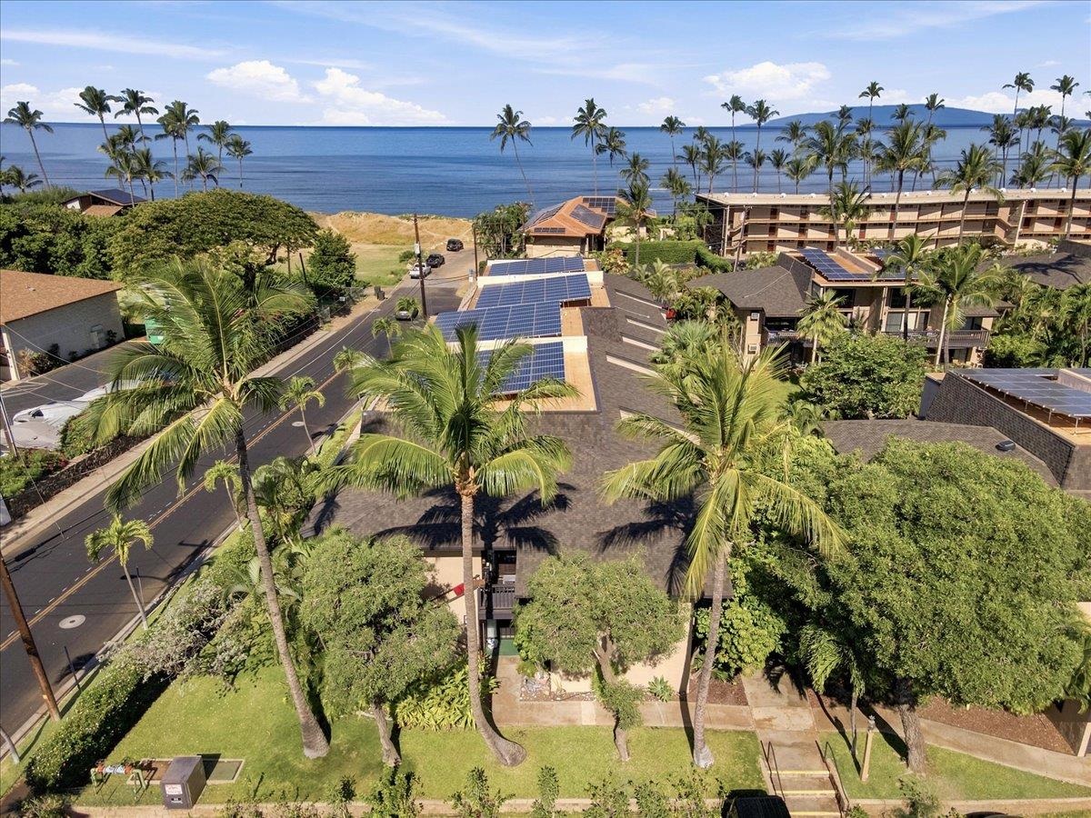 1299 ULUNIU Rd Unit: C-209