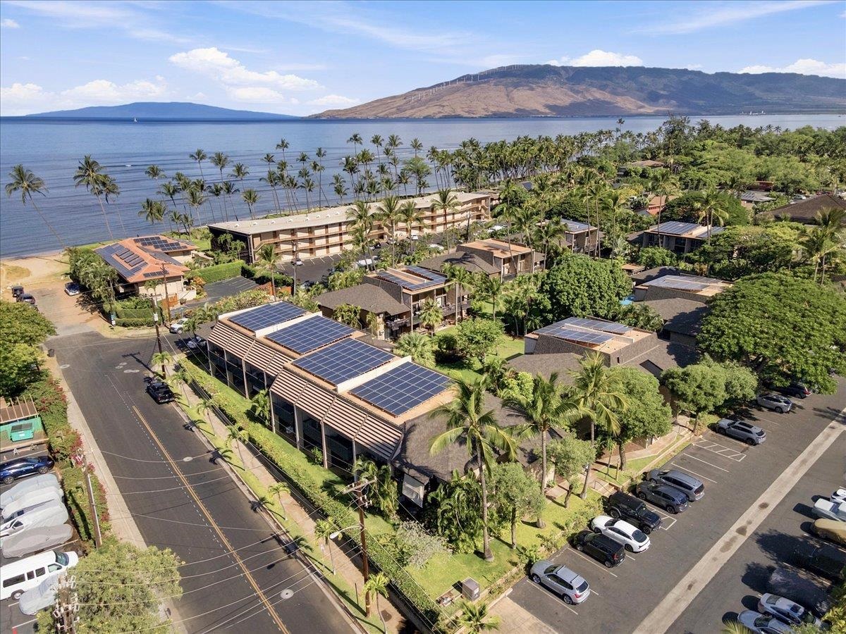 1299 ULUNIU Rd Unit: C-209