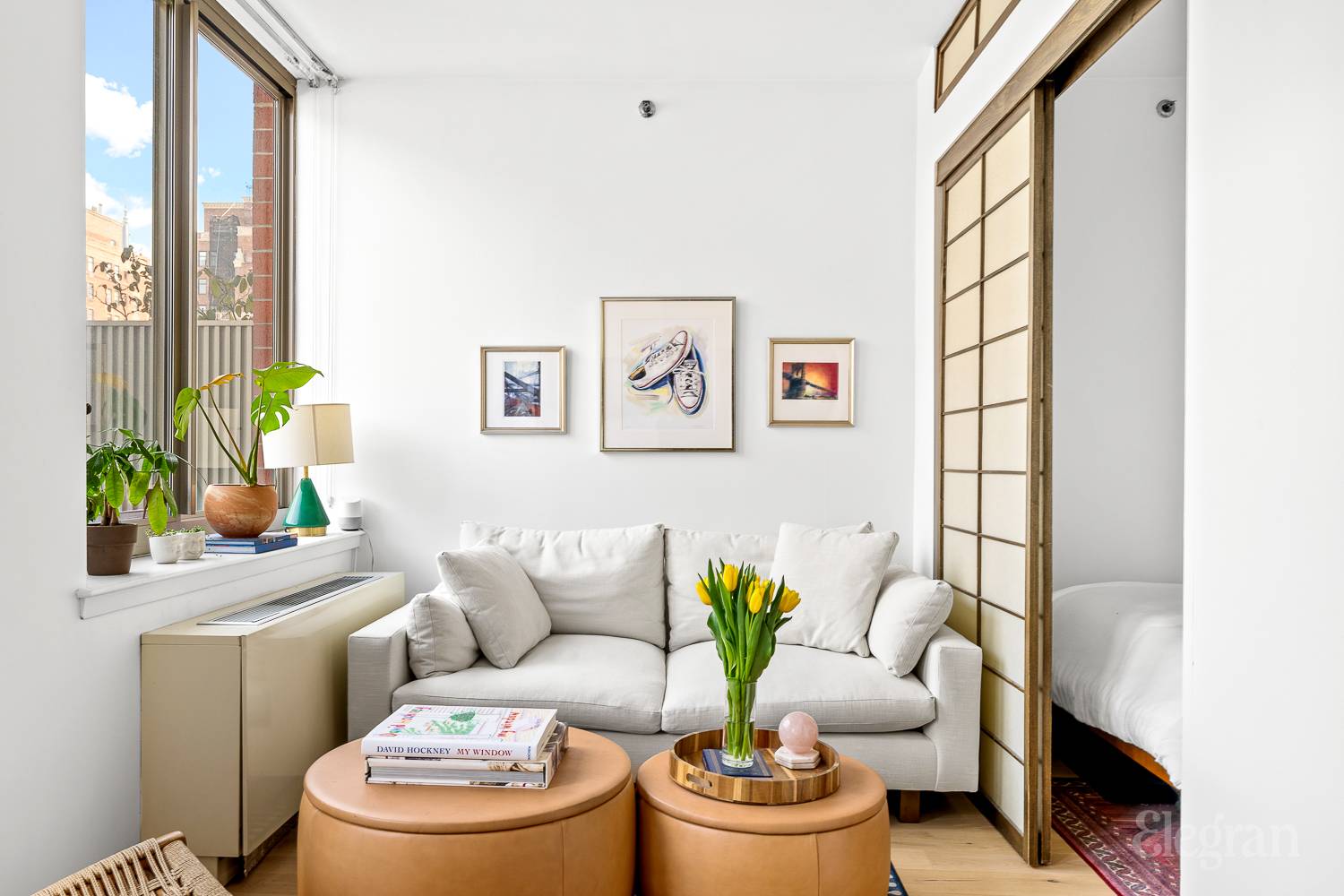 520 W 23rd Street 11D
