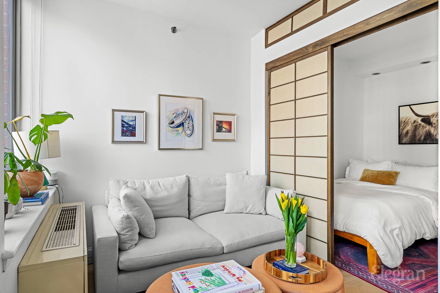 520 W 23rd Street 11D
