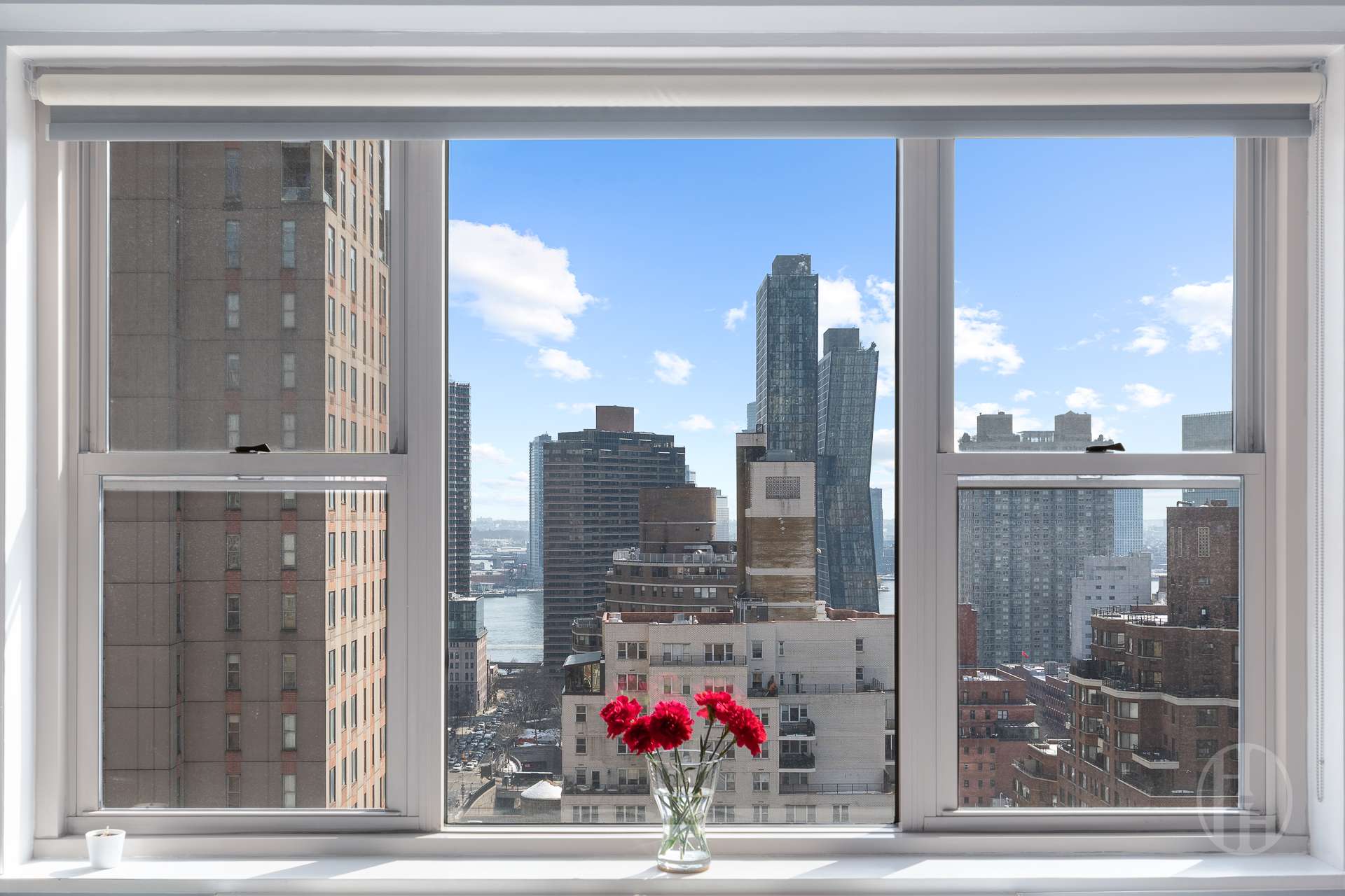 Apartment window frames a city skyline and river, with red flowers on the sill.