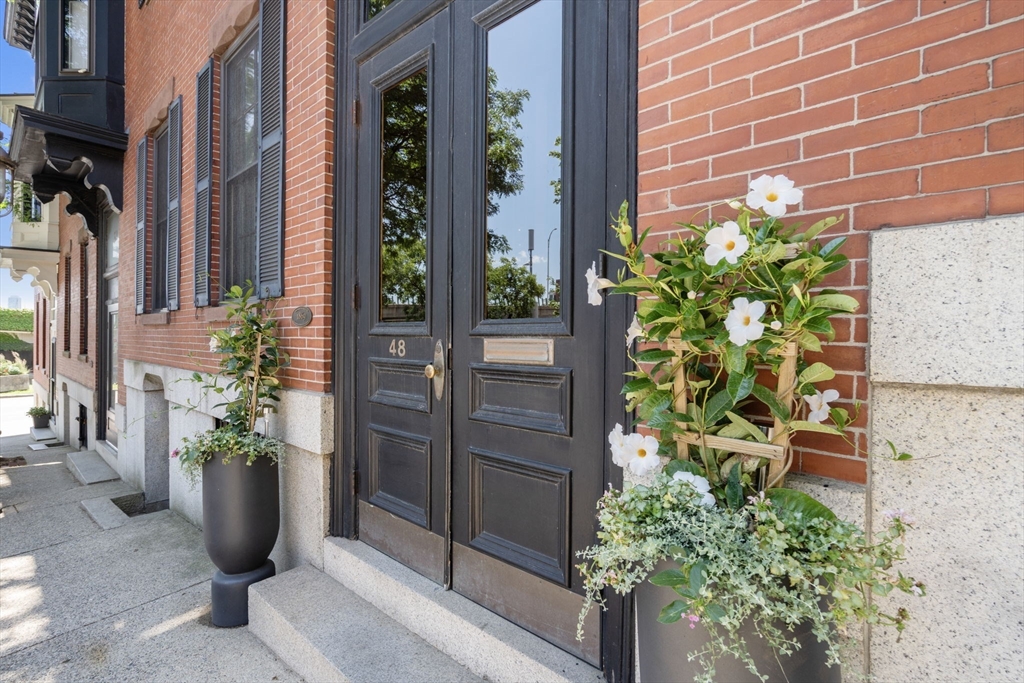48 Mount Vernon Street # 3