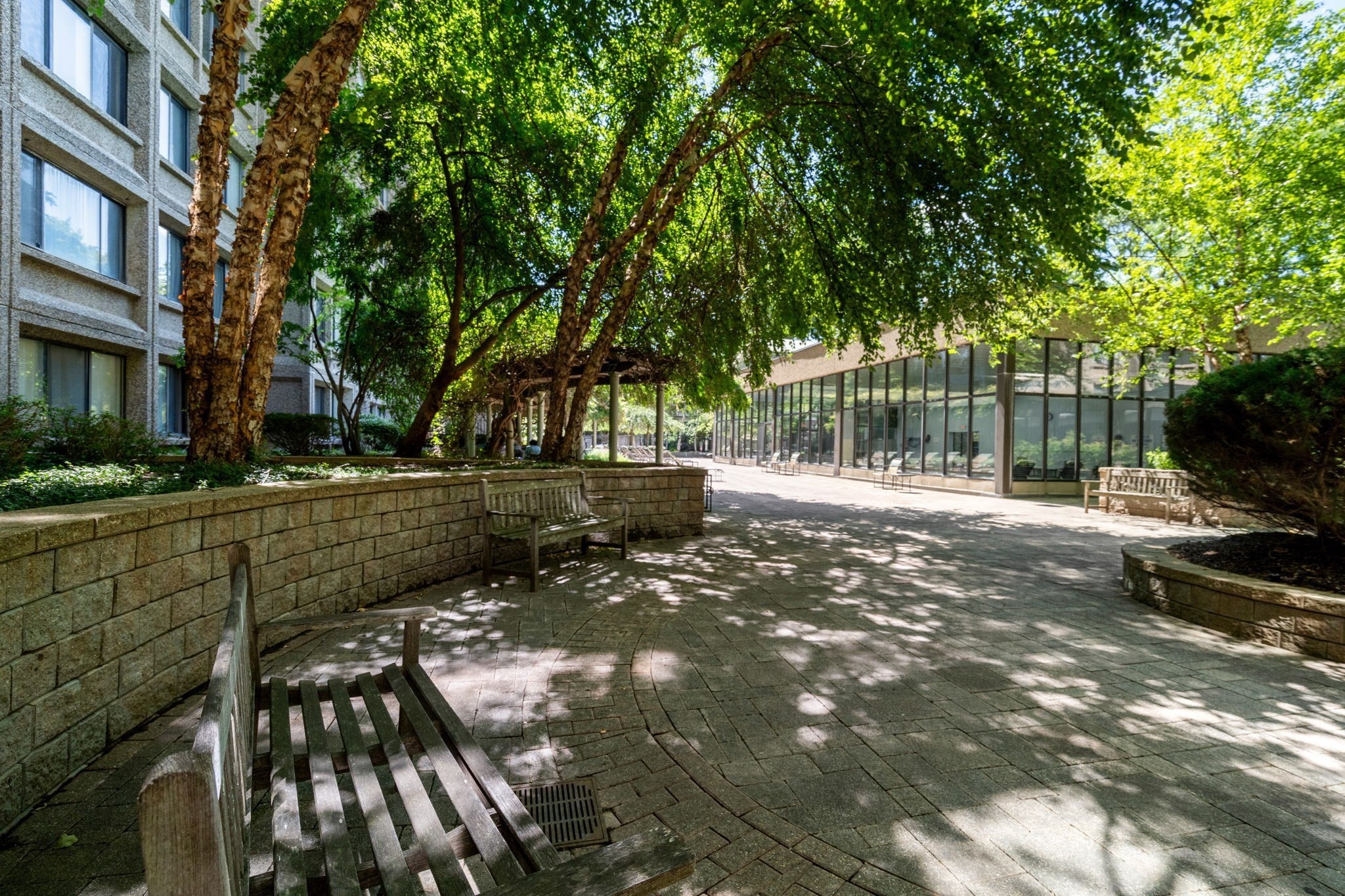 1731 Beacon Street # 402