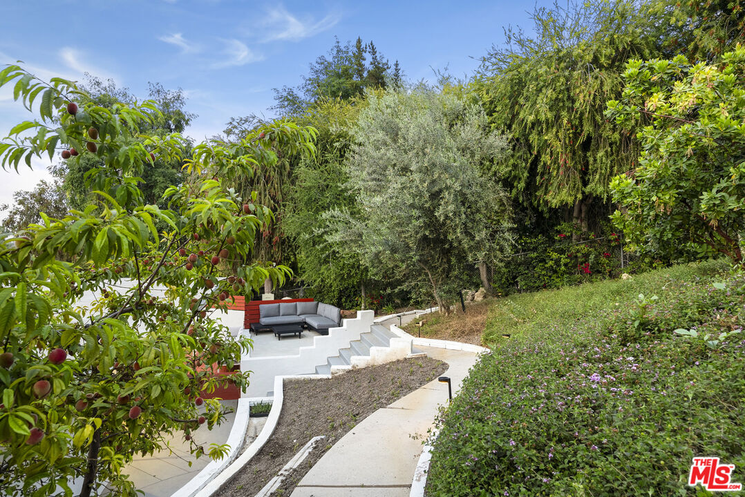 4977 Brewster Dr
