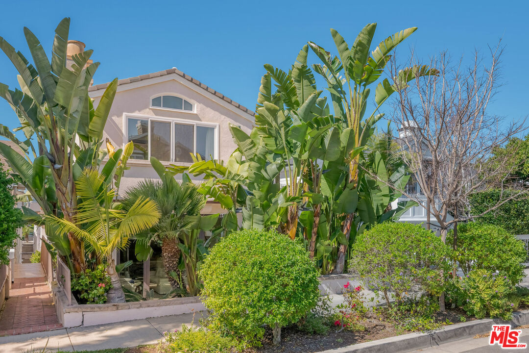 707 Jasmine Ave