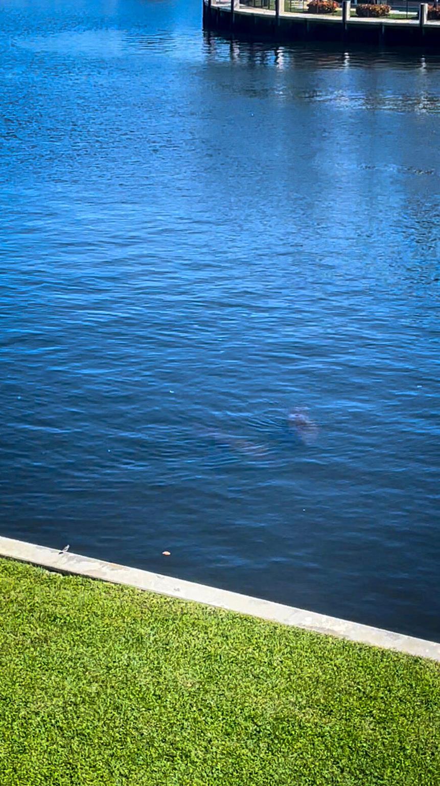 555 SE 6th Avenue 7e