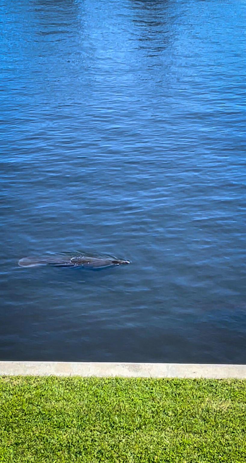 555 SE 6th Avenue 7e