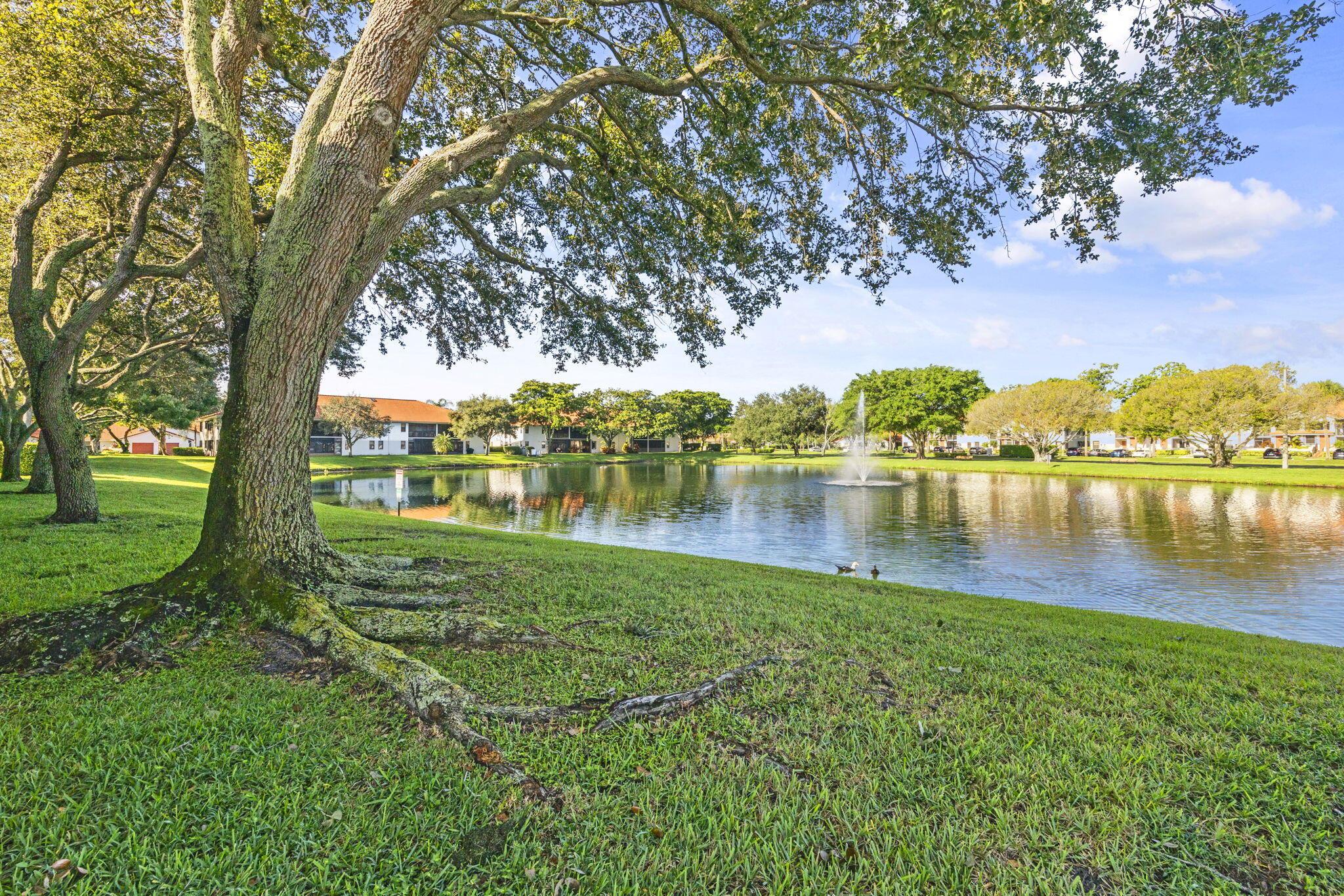 9717 Sills Drive E 203