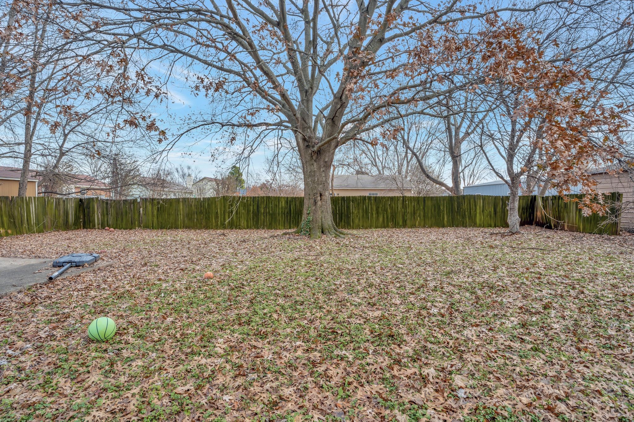 3393 Chaney Ln