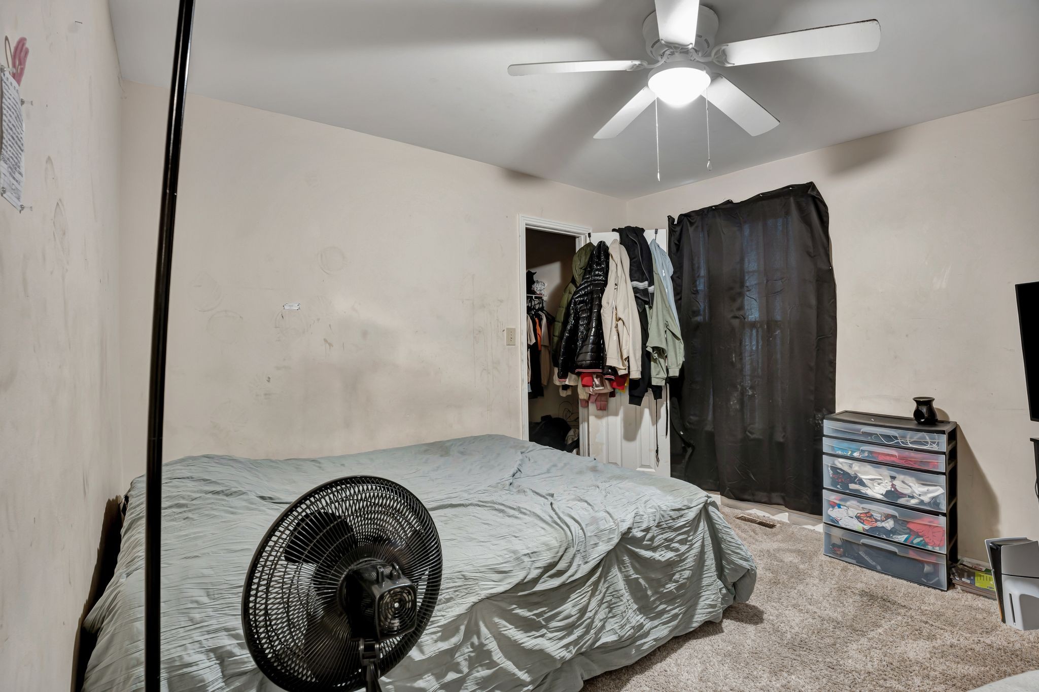 3393 Chaney Ln