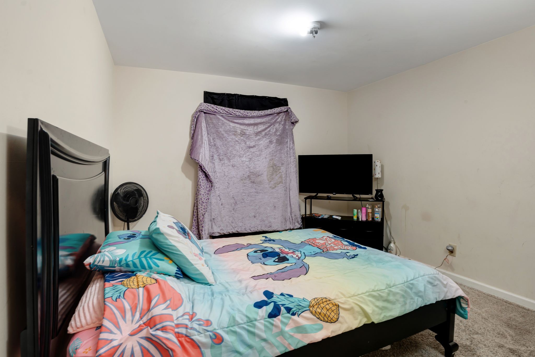 3393 Chaney Ln