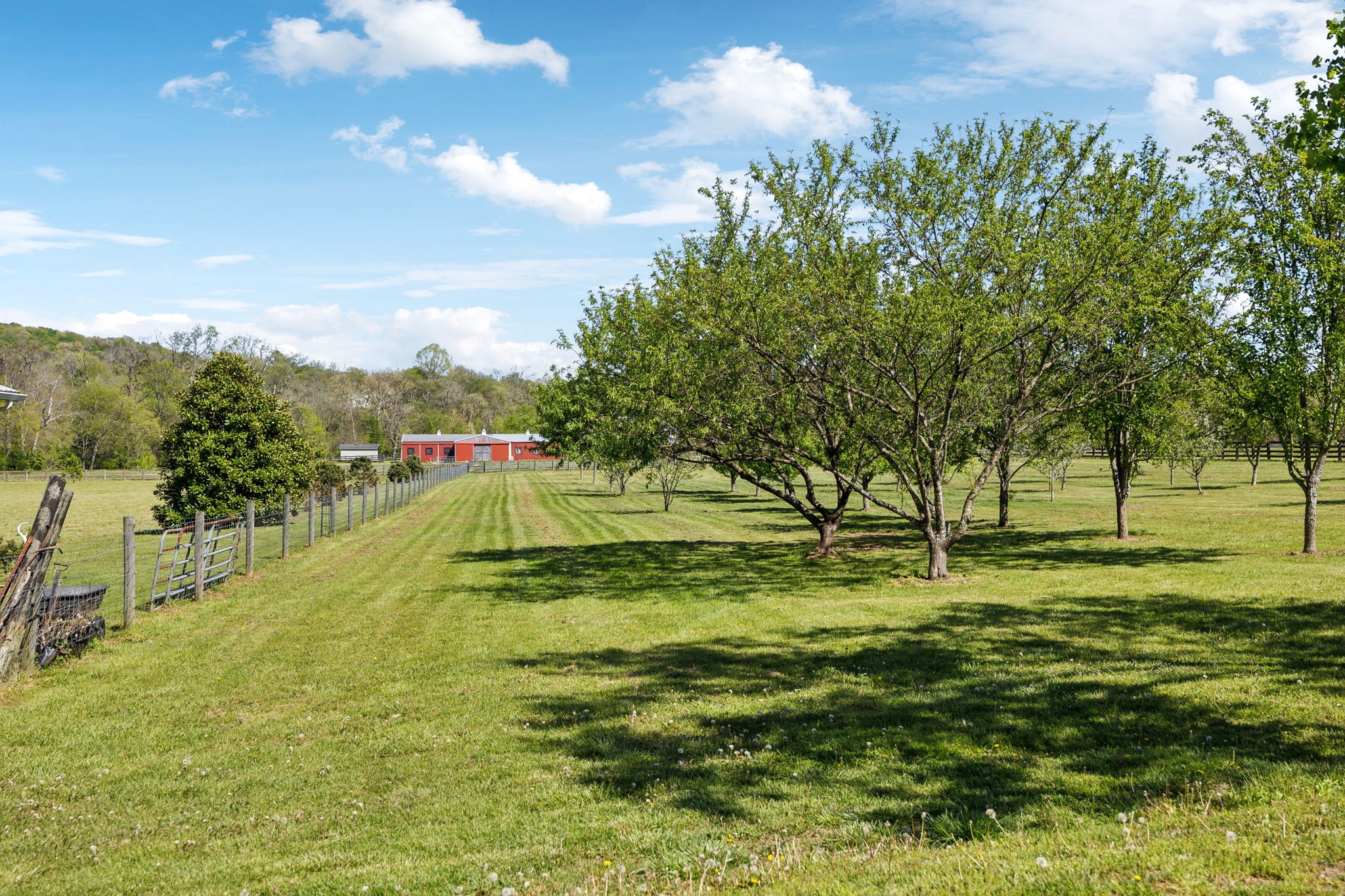 3968 Bigbyville Rd