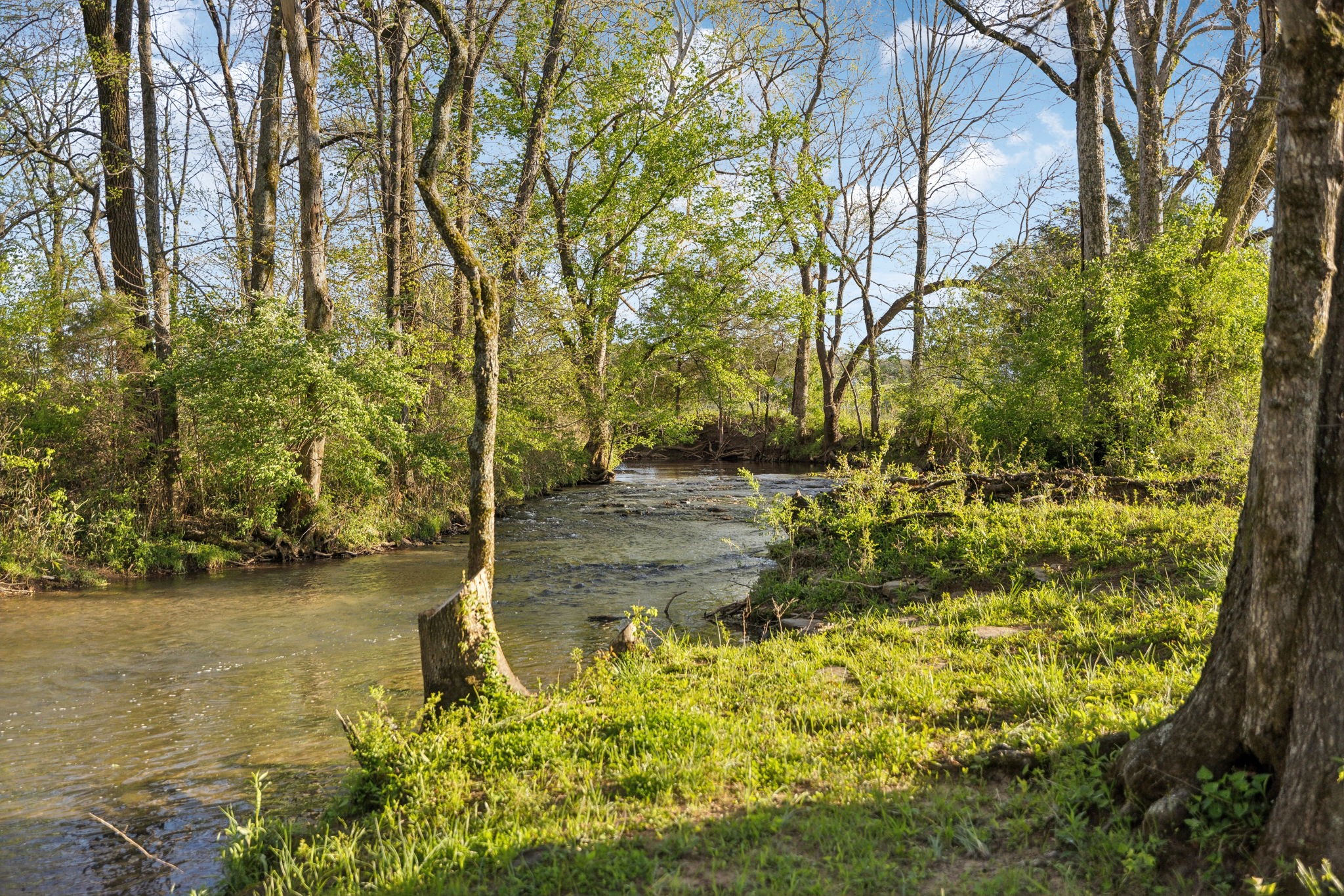 3968 Bigbyville Rd