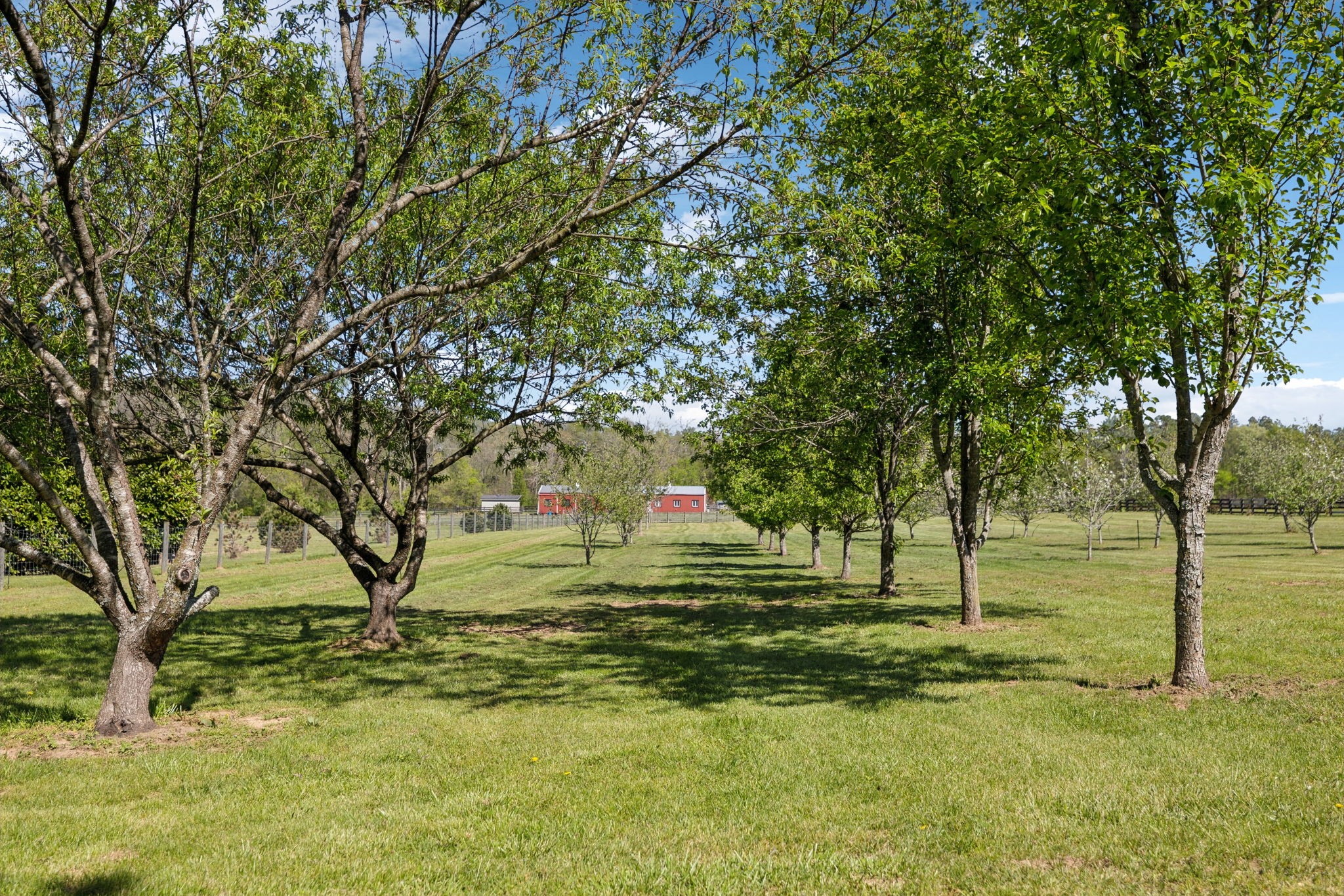 3968 Bigbyville Rd