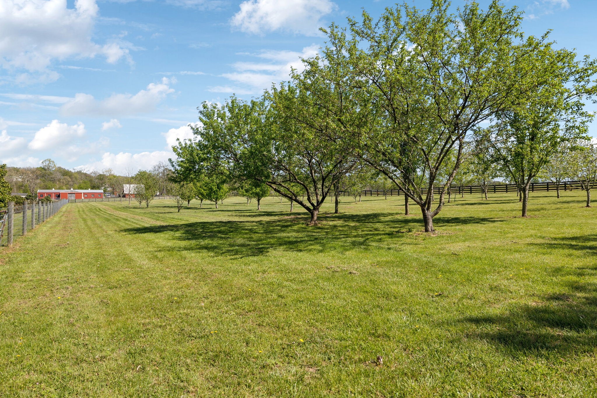 3968 Bigbyville Rd