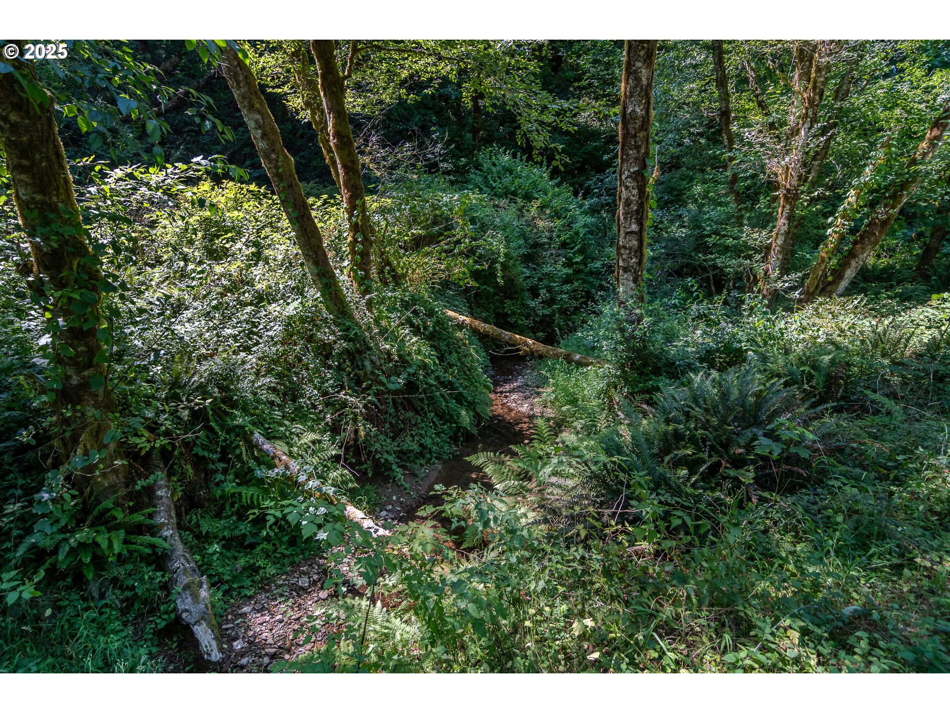 32865 STATE HIGHWAY 38