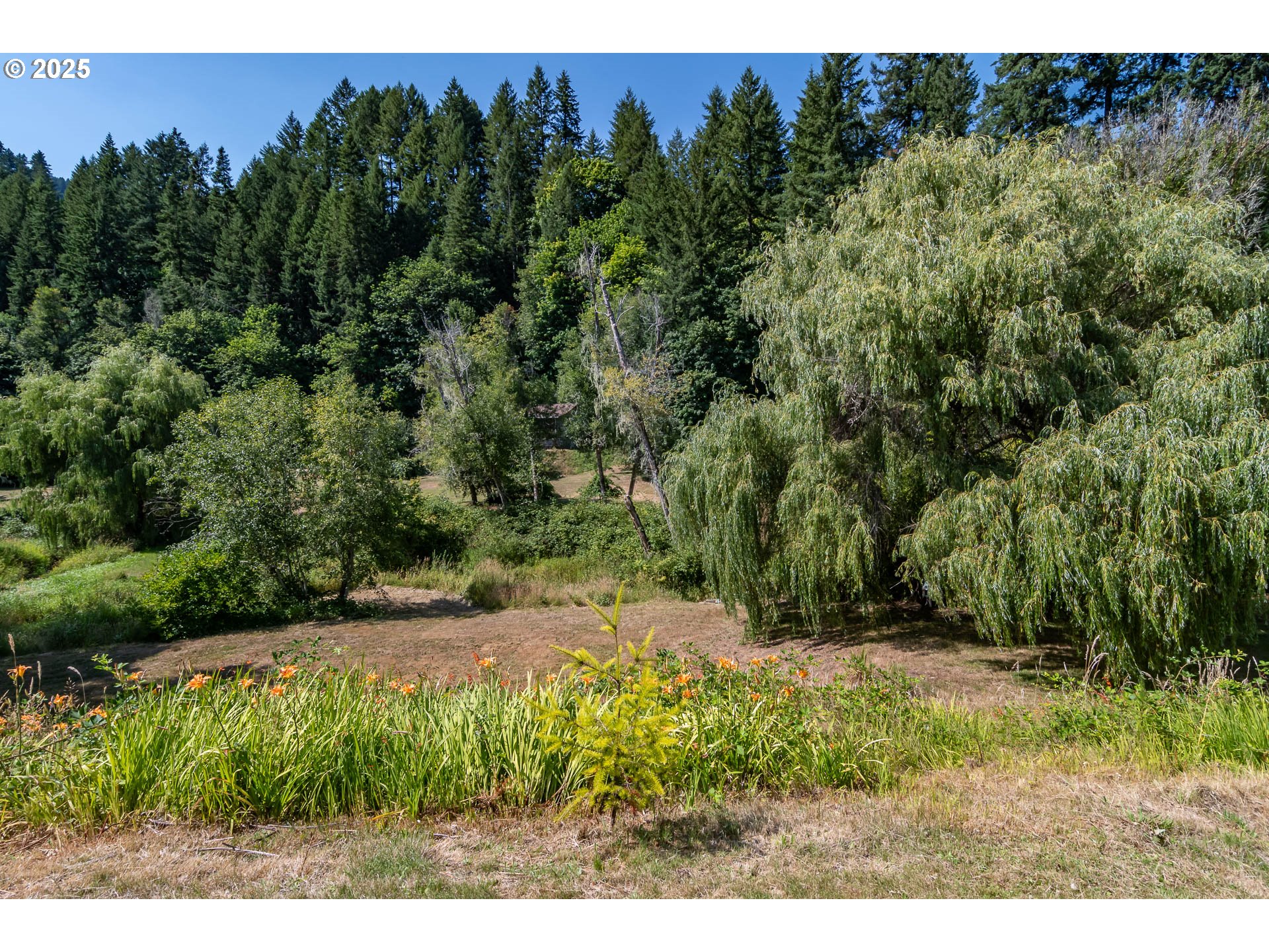 32865 STATE HIGHWAY 38