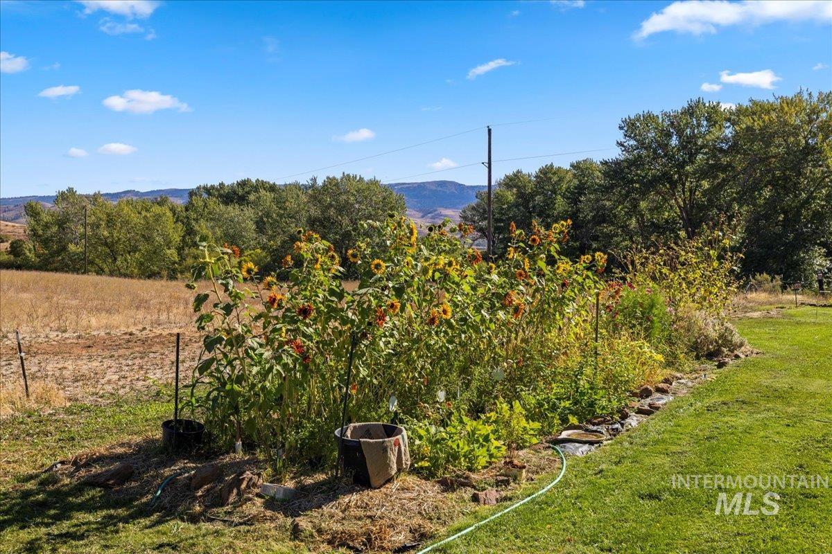 2128 Jackson Creek Road