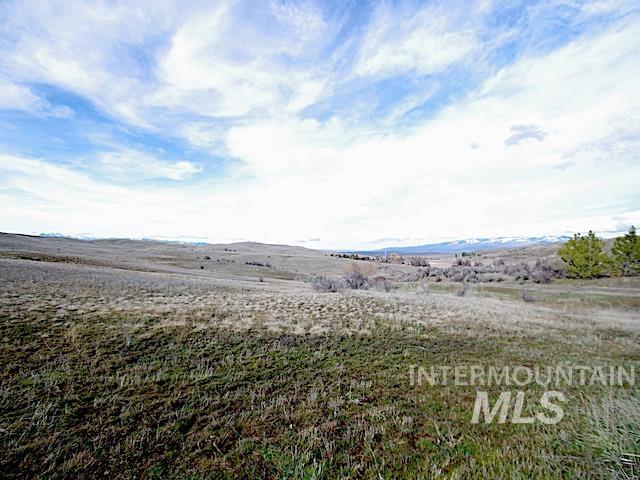 591 Mundy Gulch Rd