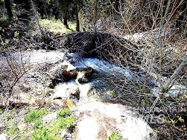 2264 Private Road 1