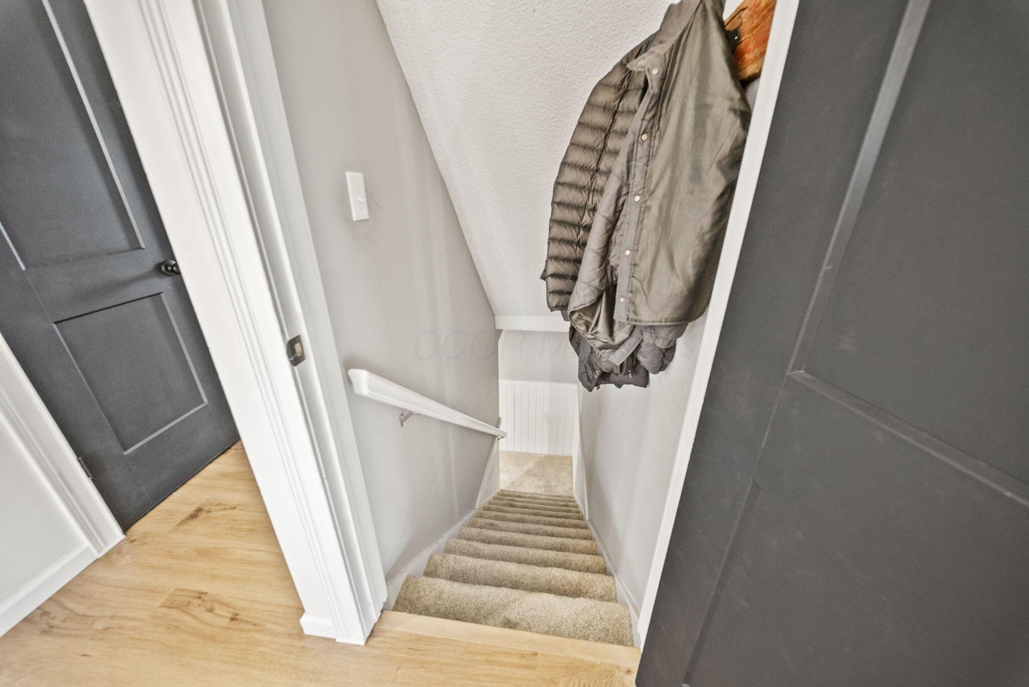 Carpeted staircase with a white handrail, coats hanging above, and light wood flooring at the landing.