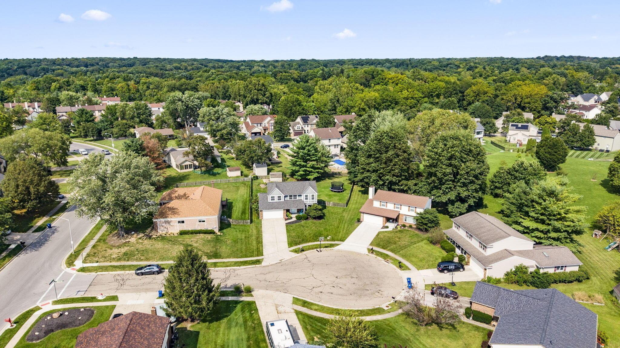Aerial view of homes along a cul-de-sac, with mature trees and woods beyond.