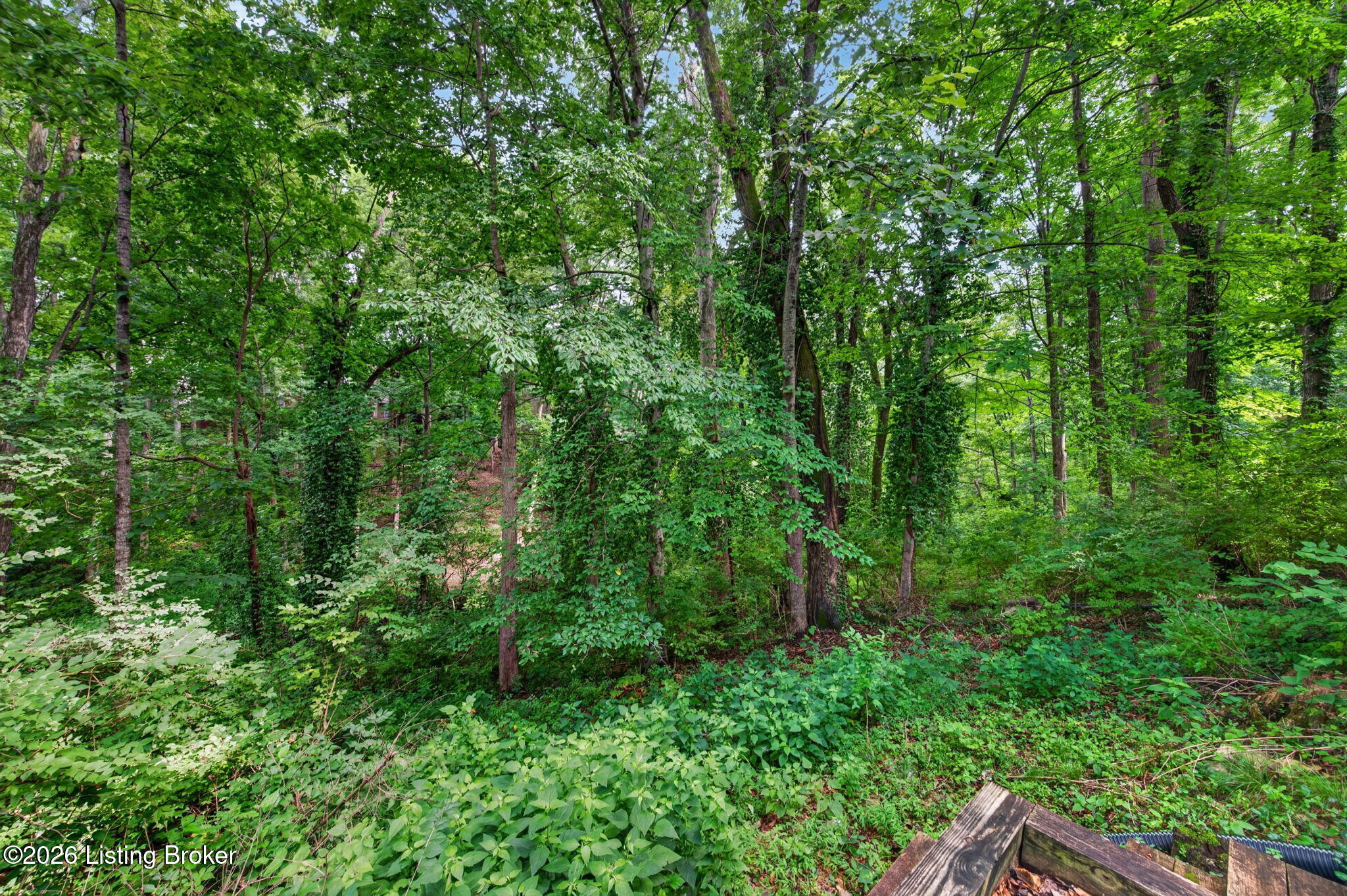 8800 Wooded Trail Ct