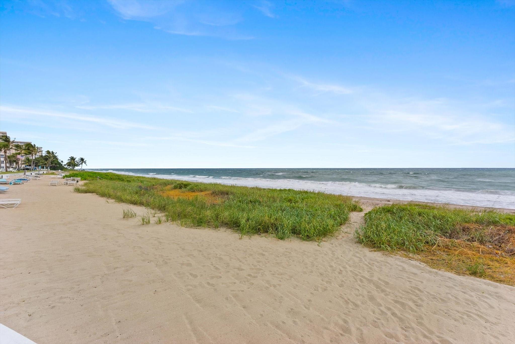 1041 HILLSBORO MILE 2