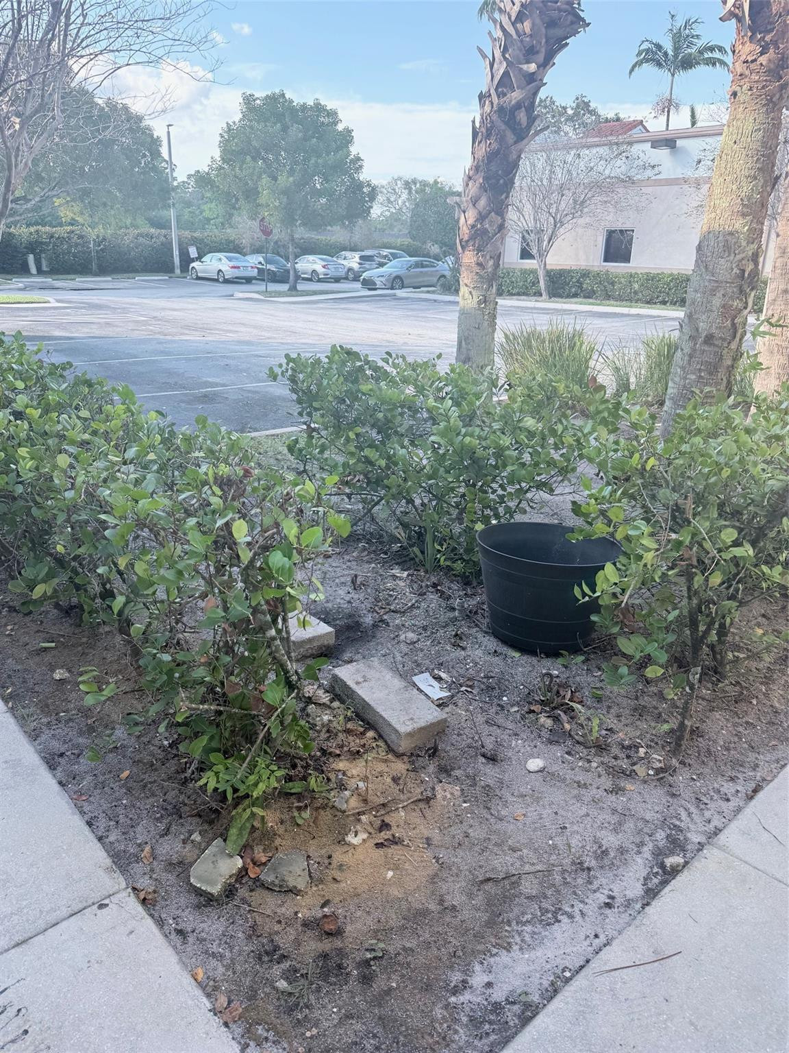 4851 W Hillsboro Blvd 5A