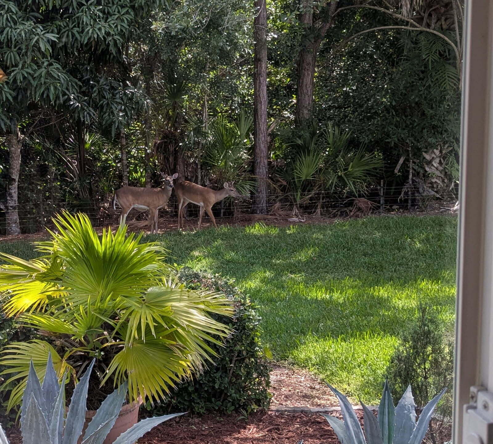 9132 Bay Harbour Circle