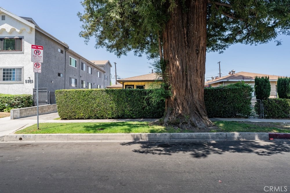 5919 Cedros