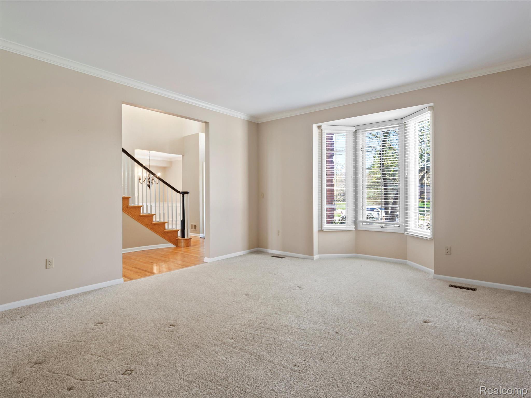 3891 WHITE TAIL Drive