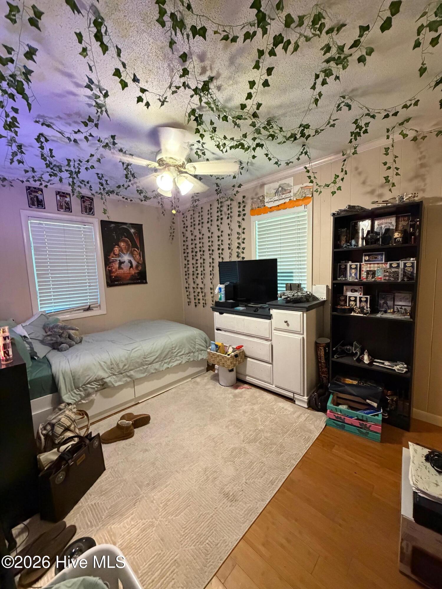 Bedroom with ivy-covered ceiling, single bed, television, and collectible display shelf.